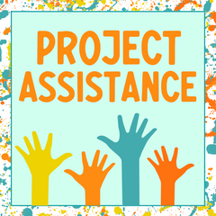 Project Assistance
